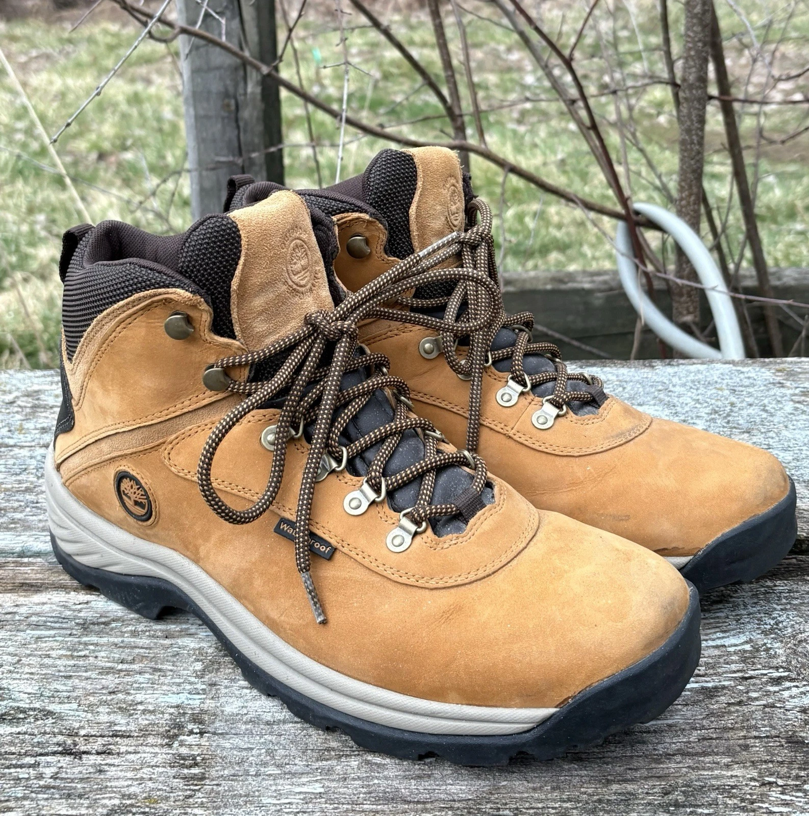 Timberland Men's White Ledge Mid Lace Up Waterproof Hiker Boot Wheat Size 13