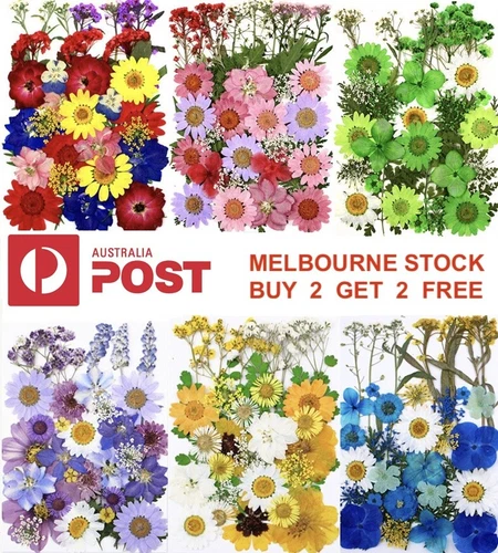 Dried Pressed Flowers Natural Epoxy Resin Candle Nail Art Scrapbooking Craft AU - Picture 4 of 210