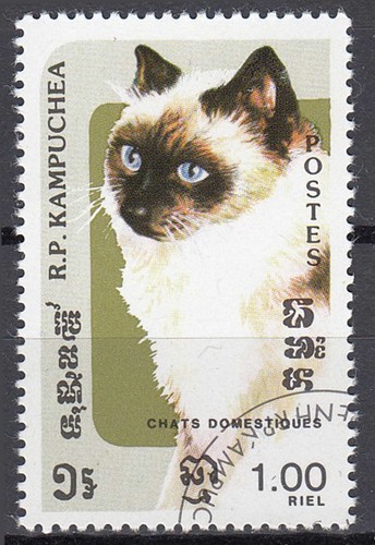 Kambodscha gestempelt Katze Haustier Tierwelt Fauna Natur / 602