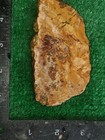 rough slab Brecciated Jasper 155g. 5/16" Thick Lapidary Cabbing #B-5 — photo 5