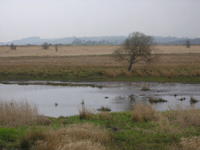 Foto 6x4 Cors Caron in der Nähe des Afon Teifi Tregaron Der Fluss folgt t c2009