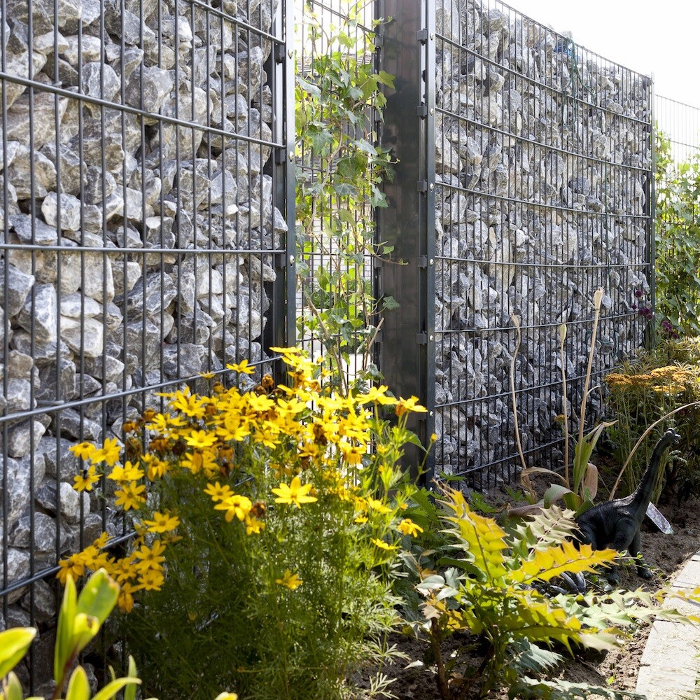 Gabionenzaun Zaungabionen Gabione Doppelstabmatten 656