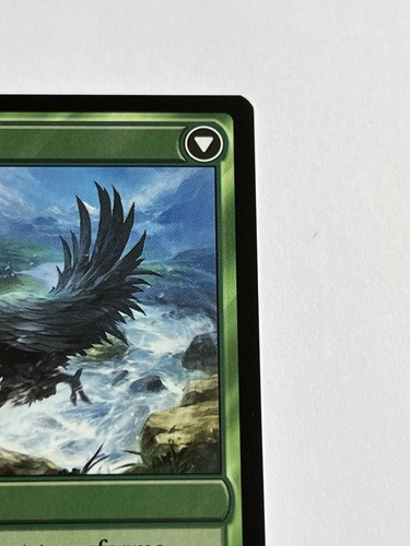 Black Chocobo / Raise a Chocobo 201 MTG Final Fantasy 2025 come nuovo - 9.0 + non foil - Foto 7 di 14