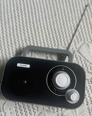 Portable Radio Grey Dreamsky DS216