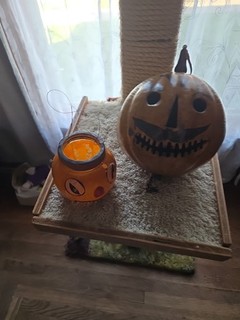 Vintage Halloween Decorations