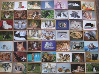 KATZEN Restposten 50x moderne Postkarten süß, Comic, Kätzchen