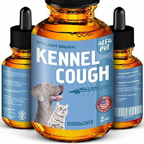 Dog top cough meds