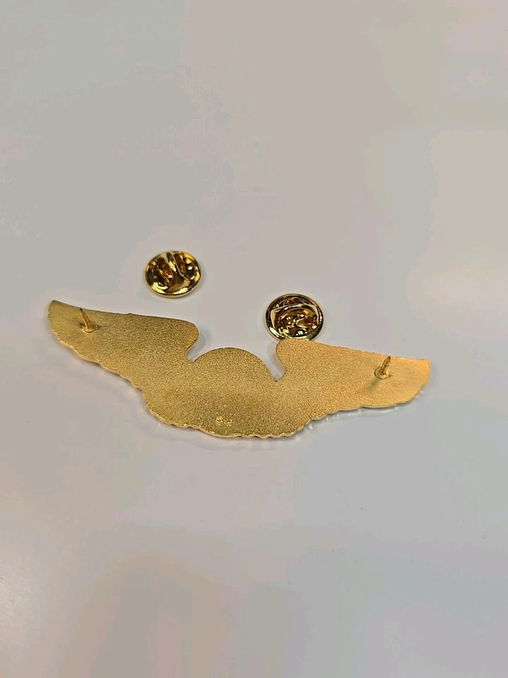 Broche distintivo da tripulação do Departamento de Justiça INS Gold Wings of Excellence RARO - Imagem 3 de 4