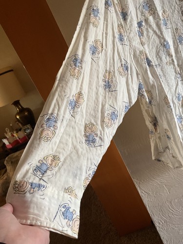 NEW Aerie Peanuts Off Duty Seersucker Shirt Size XXL Long Sleeve Button Blouse - Picture 10 of 10
