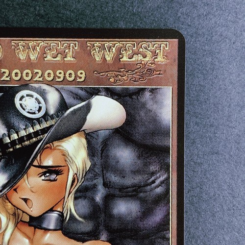 2003 Shirow Masamune Galgrease Art phone Cards Wild Wet West KODANSHA VINTAGE - Picture 8 of 12