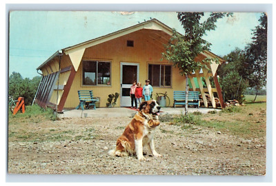 1950's Campstore & Holly Camp Mascot Red Carpet Campground Postcard P1E