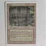 Bayou - MP+ - Revised Edition 3ED - MTG