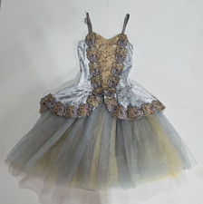 Revolution Gray Tulle Dance Costume Dress Women Style RC20059 Polyester