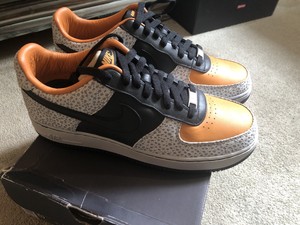 air force one safari