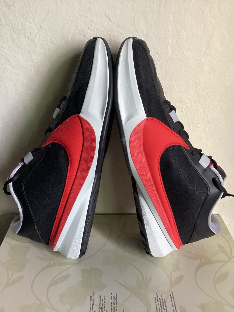 NIKE - ズームフリーク5 レッド　30cm 新品 NIKE ZOOM FREAK 5 'ALL STAR' ナイキ ズーム フリーク 5 ヤニス