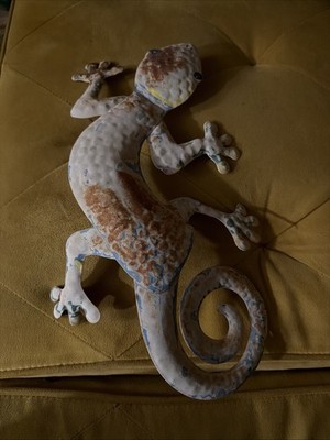 GECKO METAL WALL HANGING LIZARD POOL PATIO DECOR BEACH TROPICAL 14'' LIZARD