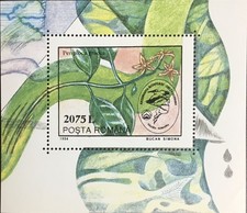 Romania 1994 Environmental Protection Minisheet MNH