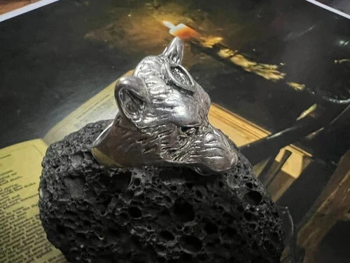 Success Spell Ring – Djinn 7701 Energy – Haunted Diamond Genie Talisman