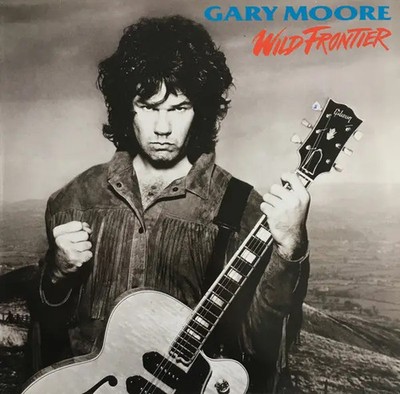Gary Moore Wild Frontier NEAR MINT 10 Records Vinyl LP