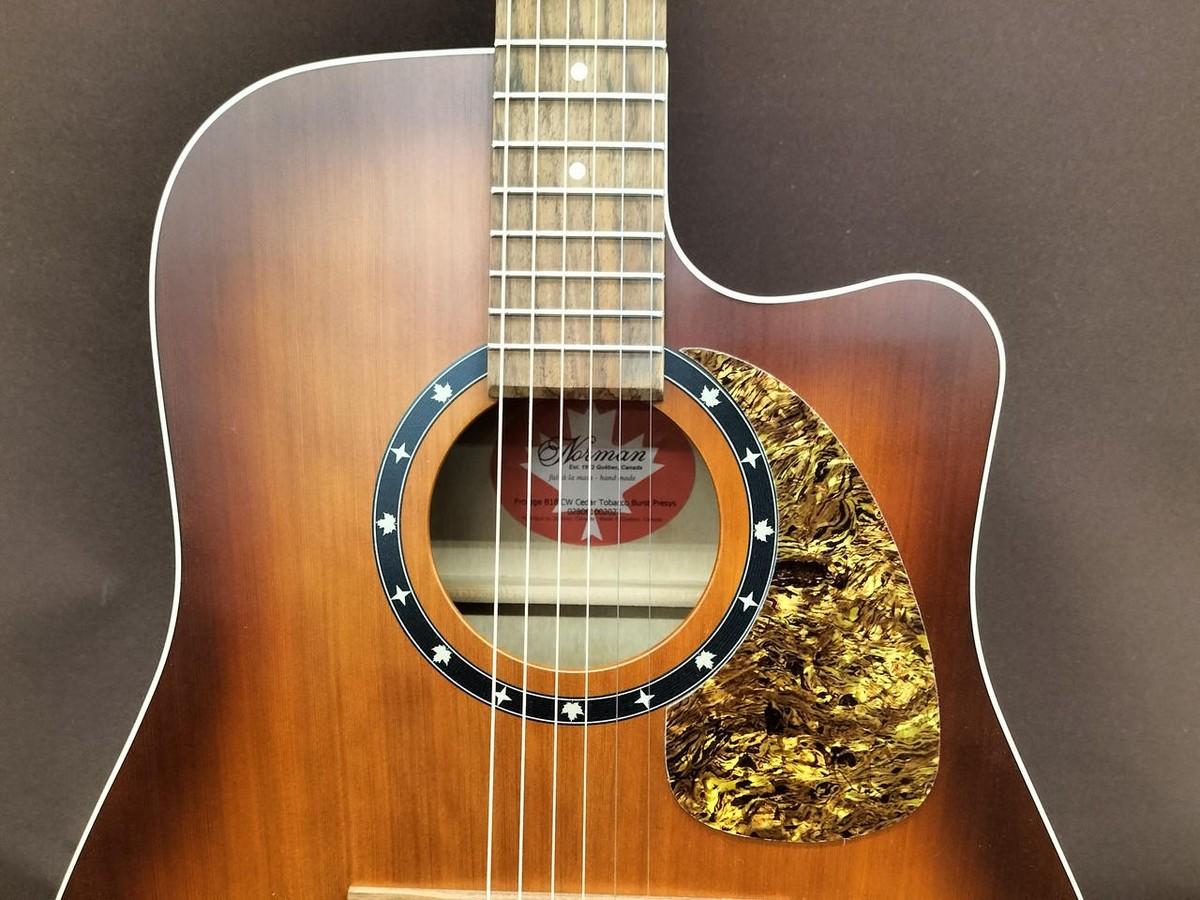 Norman B18 Cw Eco | eBay