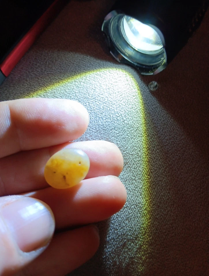 Ópalo ojo gato 10,25 quilates (raro) Foto 3 de 4