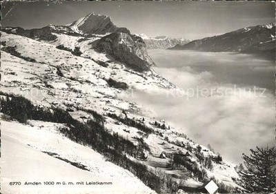 Amden Walensee SG with Leist Comb