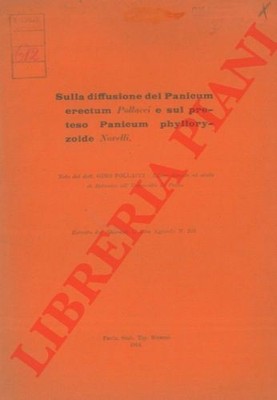 POLLACI Gino - Zur Ausbreitung von Panicum erctum Hühner und zur angeblichen Panik