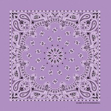 Carolina Creative Bandanna Lavender Paisley Print 22" x 22" Hav-A-Hank