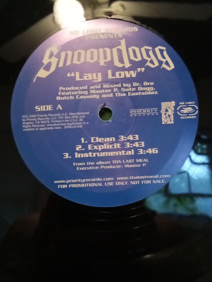 Snoop Dogg - lay low/bring it on 12