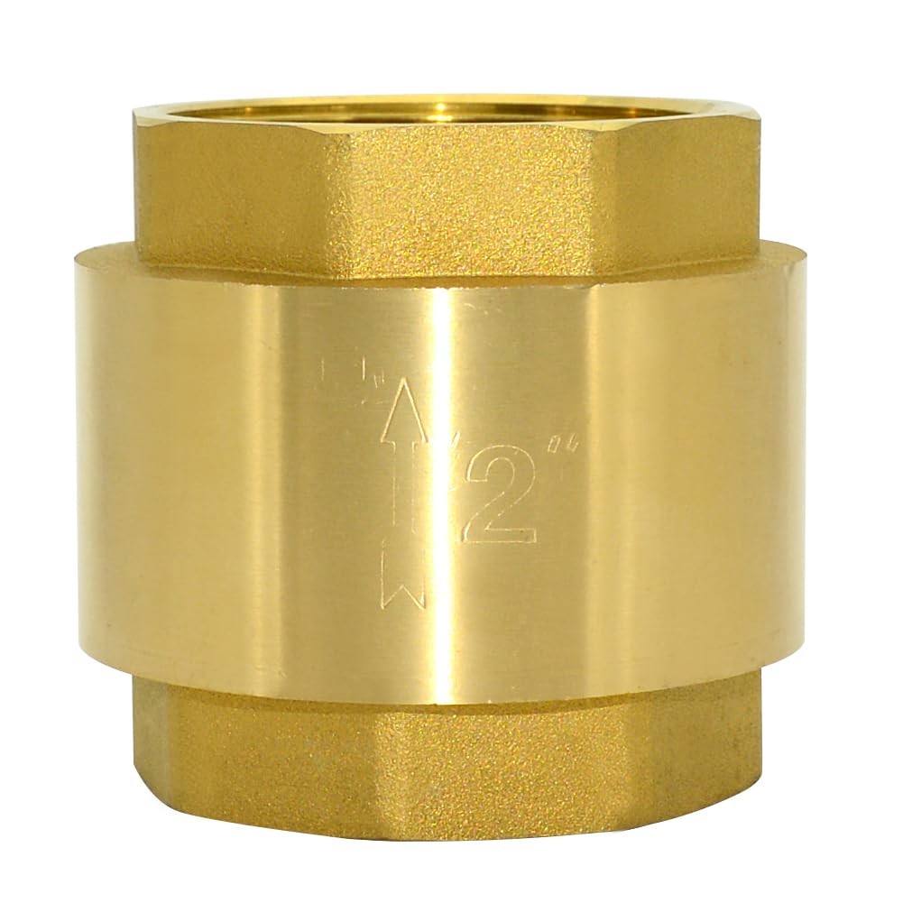 Brass Female Thread Spring Check Valve Horizontal Backflow Prevention DN50 2"