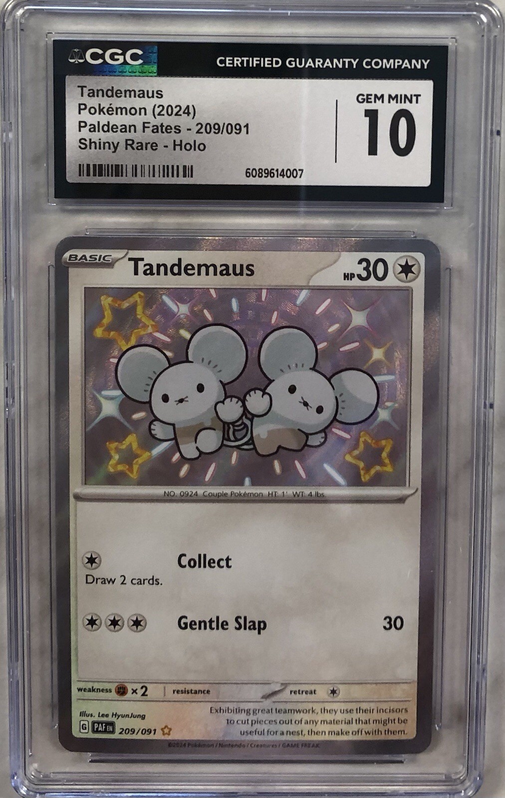 Maushold 210/091 Pokemon Paldean Fates SR Holo CGC 10