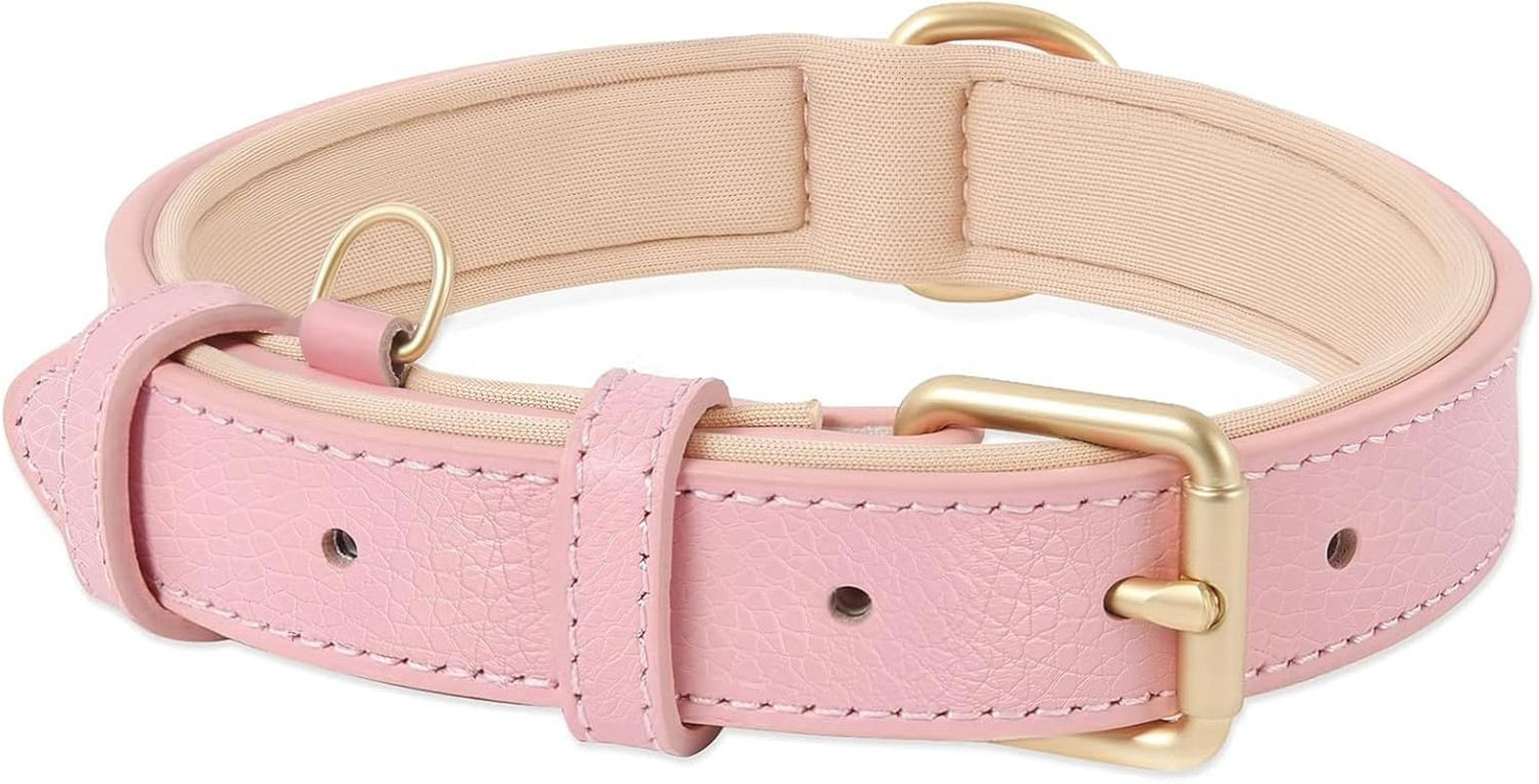 Collare in Pelle per Cani Piccoli | Imbottitura Soft & Chic