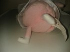 Bild 8 von 10