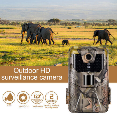 2 Pack Outdoor Game & Deer Trail Camera 36MP 2.7K No Glow Night Vision Cam 120°