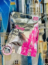 2025 Walt Disney World Hidden Mickey Mystery Pouch Wave B (2 Mystery Pins)