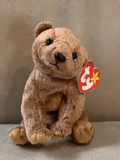 Ty Beanie Baby Pecan The Bear Plush Toy - 4251
