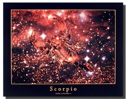 Affiche imprimée art décoration murale zodiaque astrologie Scorpion du 24 octobre au 22 novembre (16x20) - Photo 1/1