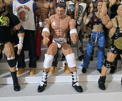 WWE Batista Ultimate Edition Vengeance 2005 Custom Mattel Elit