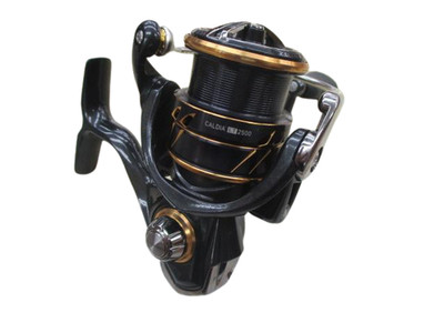 Daiwa 21 Caldia LT2500