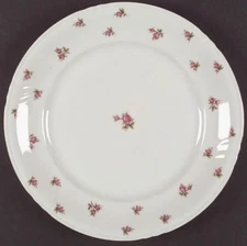 8 Old Dresden dinner plates by Royal Castle