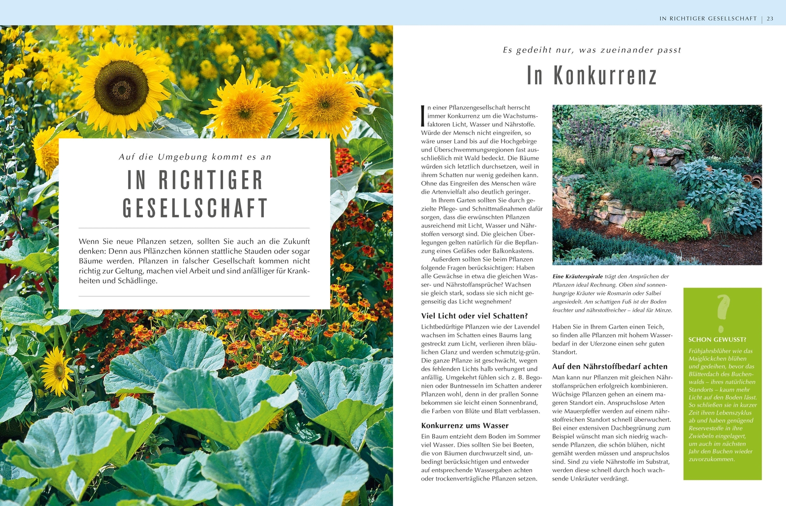 Thumbnail - Rettung In Sicht - Der Pflanzendoc Einsatz | Gmbh | Buch | 264 S. |