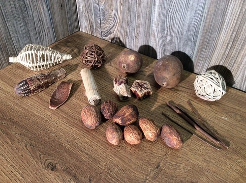 Lot Of Dried Forest And Garden Items For Centerpiece Or Crafts E9