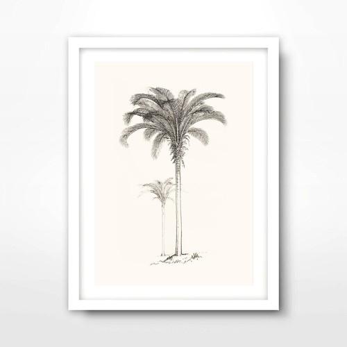 PALM TREE LINE DRAWING TROPICAL ART PRINT Poster Vintage Antique 