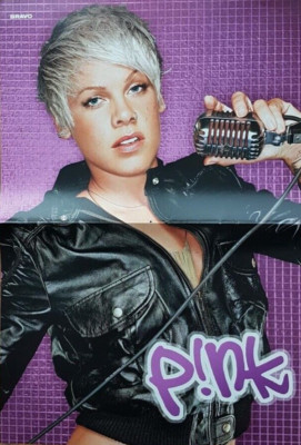 Pink - Jonas Brothers - A3 Poster BRAVO Plakat Bild Sammeln