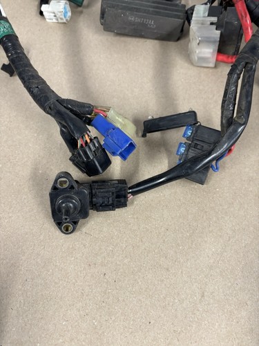 03-04 Yamaha R6 06-09 R6S NICE Main Engine Wiring Harness Ecu Coils OEM #0188 - Foto 9 di 11
