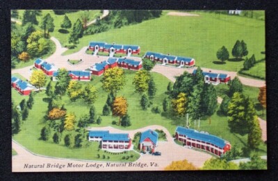 1950s Aerial View Natural Bridge Motor Lodge Route 11 Natural Bridge VA Postcard