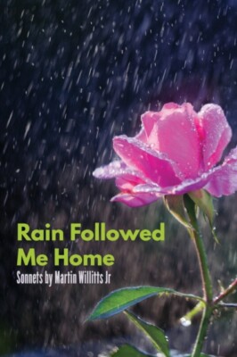 Willitts - Rain Followed Me Home - New paperback or softback - X555z