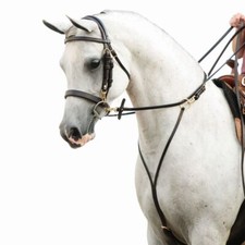Schneiders Victor Supreme Bob Hart Arabian Training Martingale | Training Fork