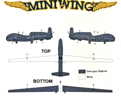 1/144 Modern UAV  : Northrop Grumman RQ-4B Global Hawk  [NATO] #311 : MINIWING