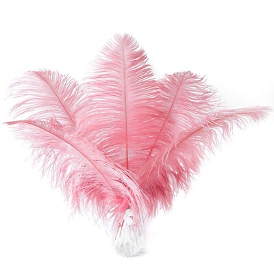 Ballinger Champagne Ostrich Feathers Bulk - 24pcs 10-12inch  Assorted Colors 
